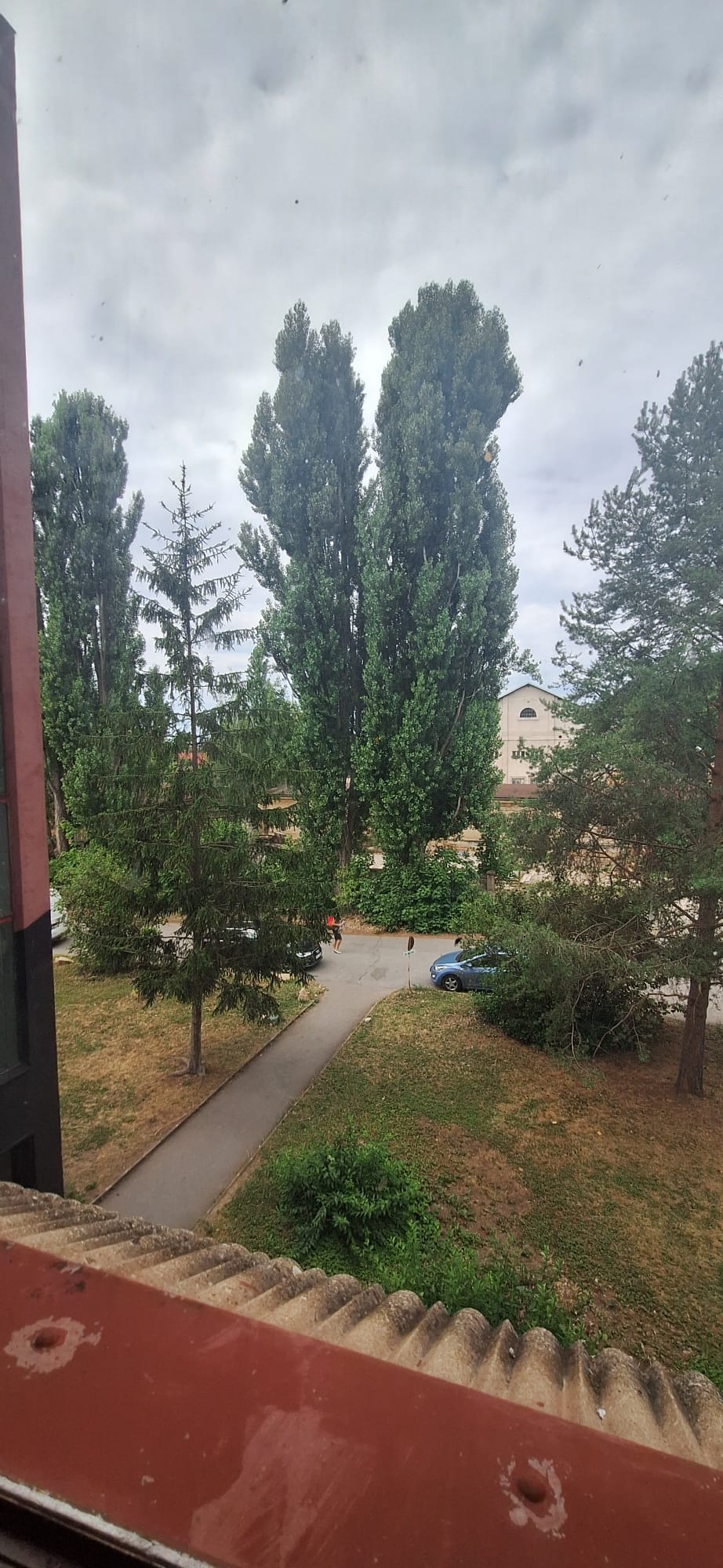 Výhled z oken dílny na zeleň Prahy 6